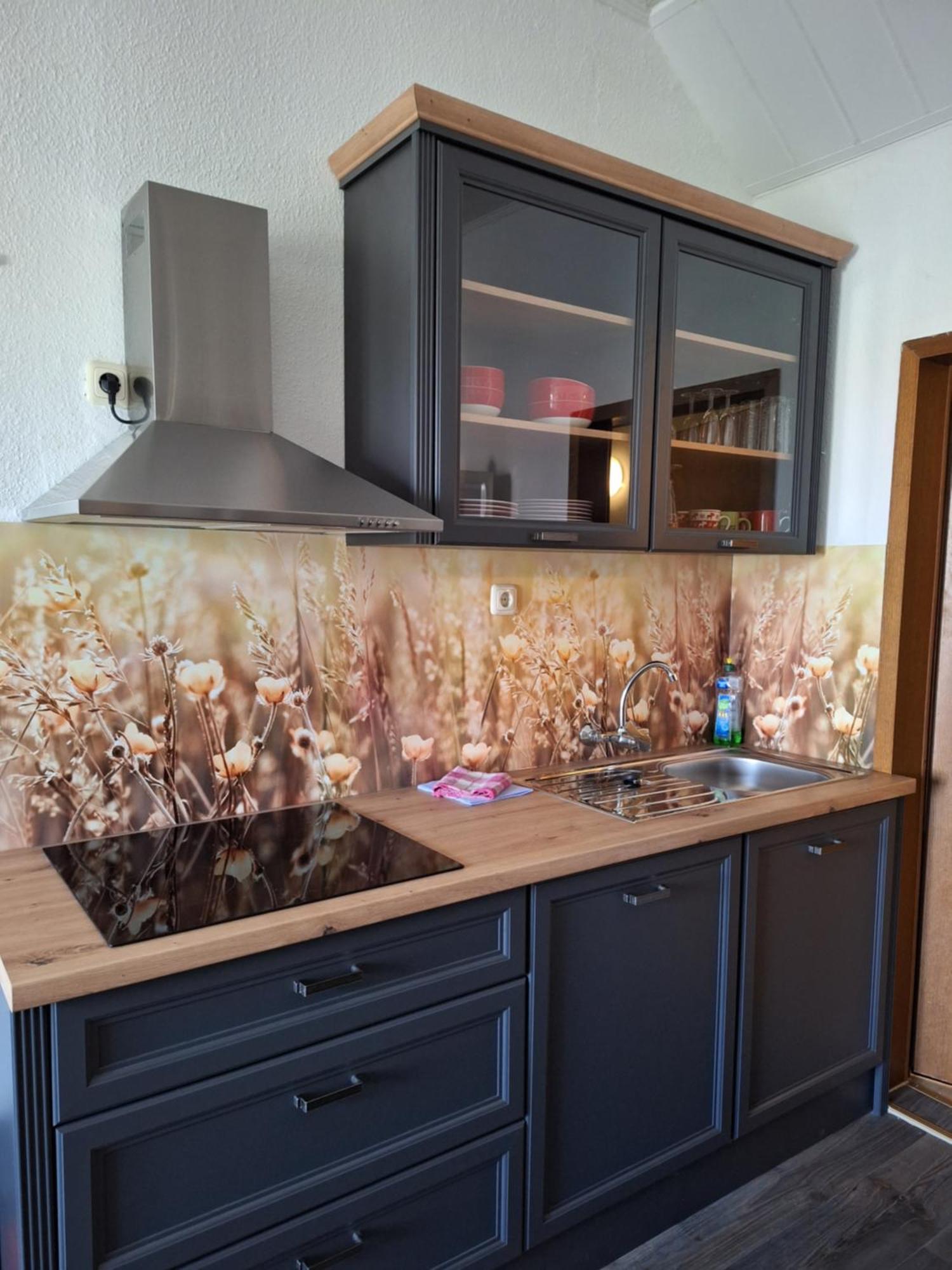 Gaststaette Und Pension Zur Schiene Merseburg Dış mekan fotoğraf