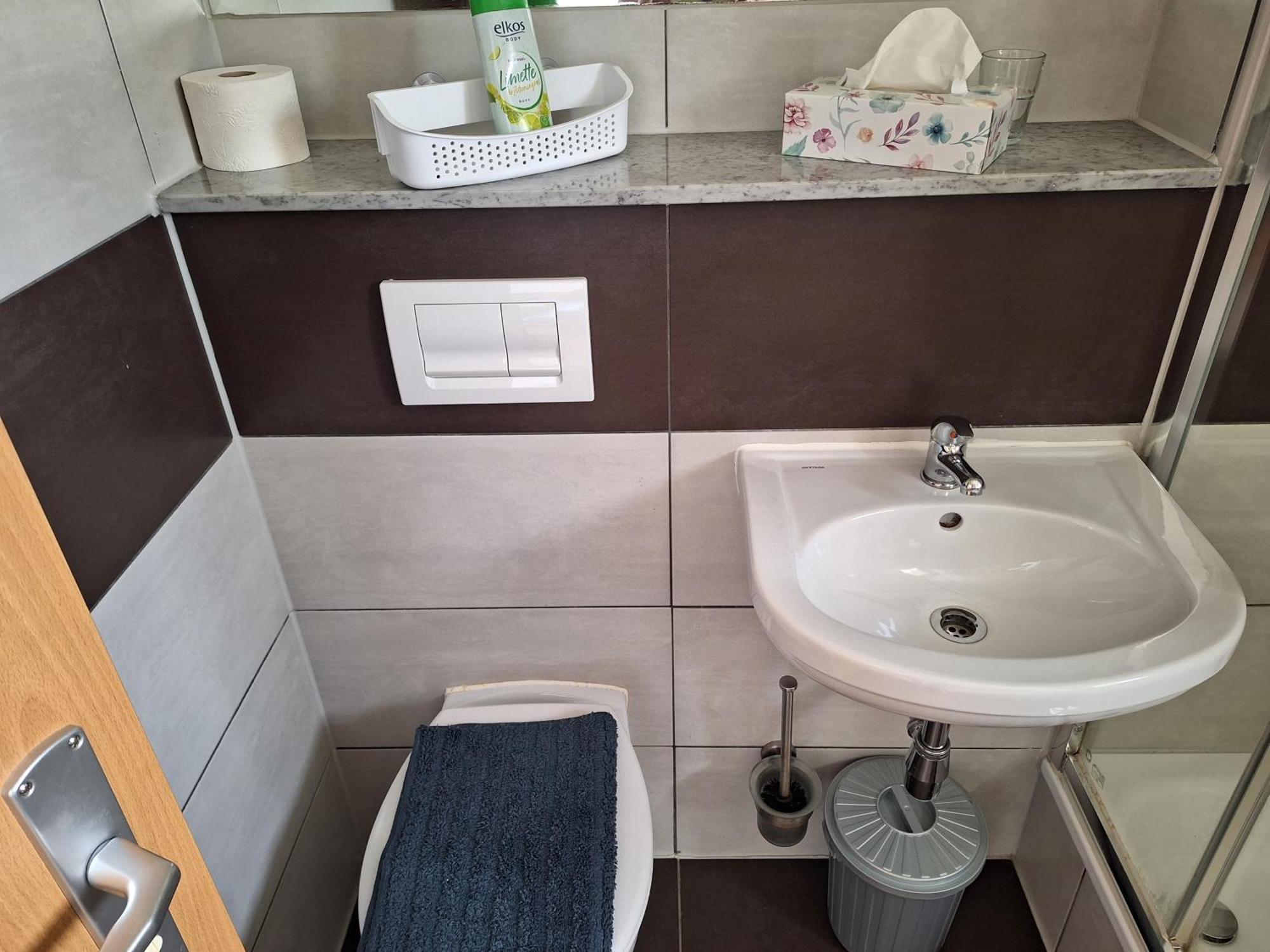 Gaststaette Und Pension Zur Schiene Merseburg Dış mekan fotoğraf